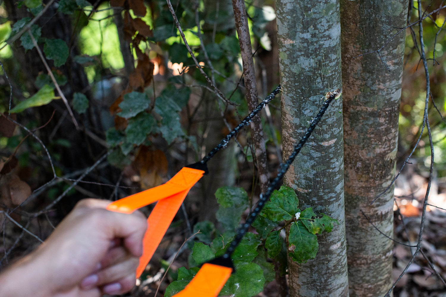 Hand using a manual chainsaw with orange handles to cut a tree branch outdoors.