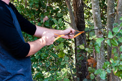 Person using an orange tree strap to secure a hammock or slackline between trees
