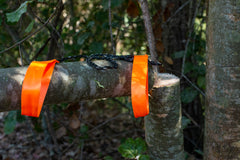 Hand-powered chainsaw with orange handles hanging on a cut tree branch in a forest setting
