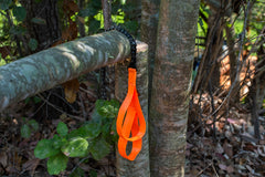 Orange tree saver strap looped around a tree with a winch line attached